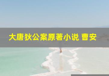 大唐狄公案原著小说 曹安